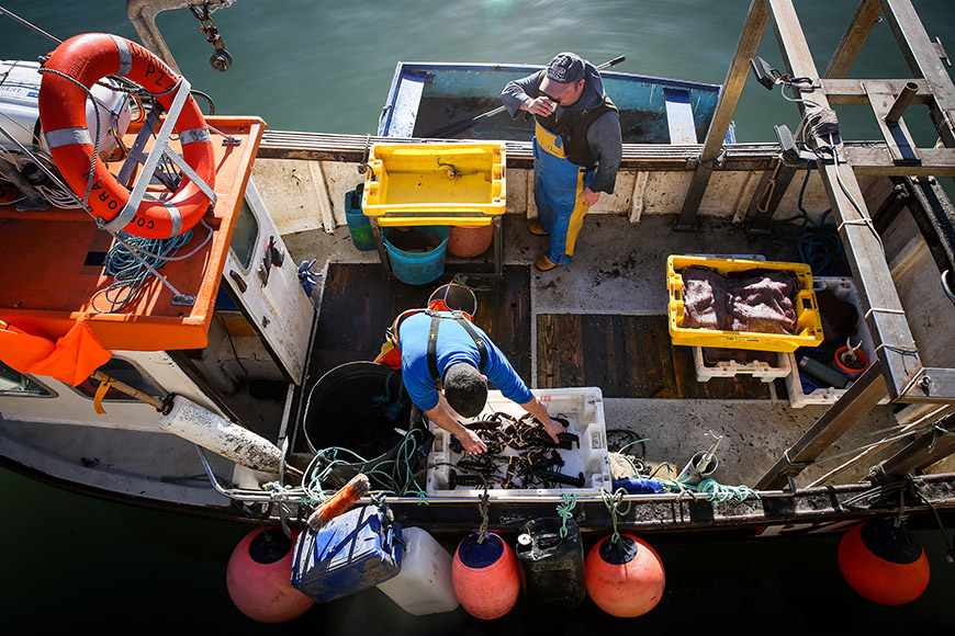 Bird's eye view of boat and fishermen by Ceri Oakes