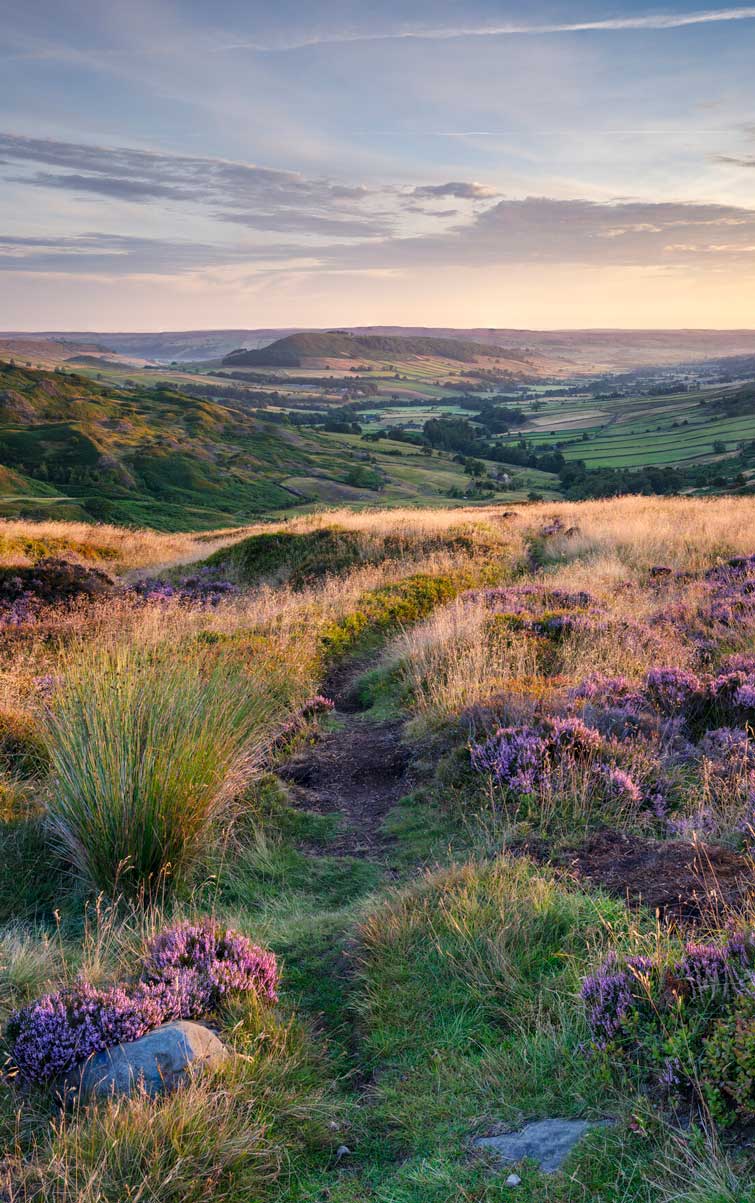 Dale scene showing a mixture of moorland, farmland and grassland. Credit Paul Kent.