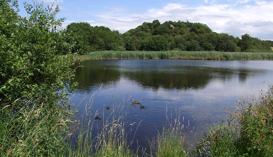 Margrove Ponds Nature Reserve