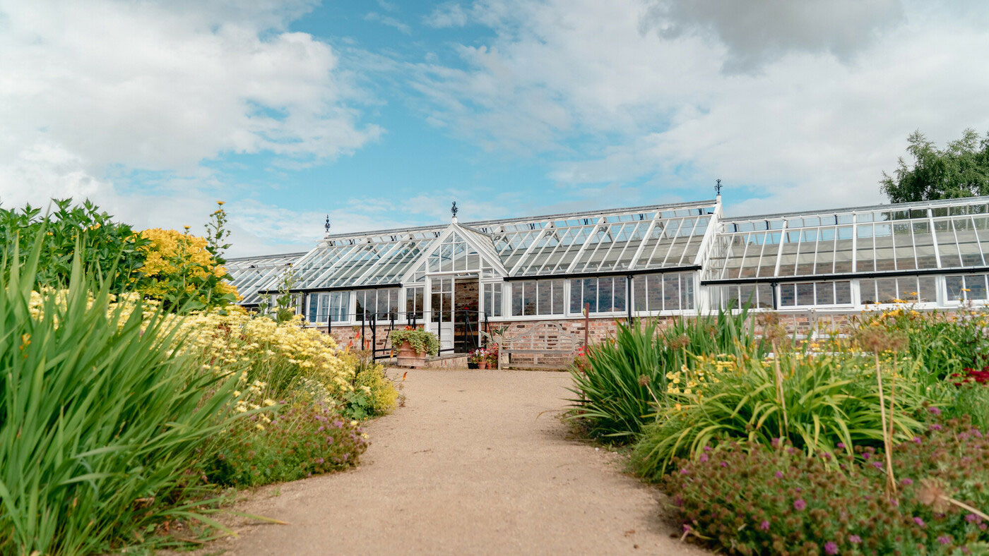 Newly restored Orchid House at Helmsley Walled Garden. Credit Anglo American. Newly restored Orchid House at Helmsley Walled Garden. Credit Anglo American.