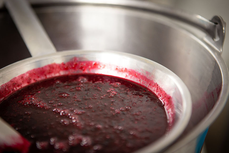 Berries liquidised in a colander by Polly Baldwin Berries liquidised in a colander by Polly Baldwin