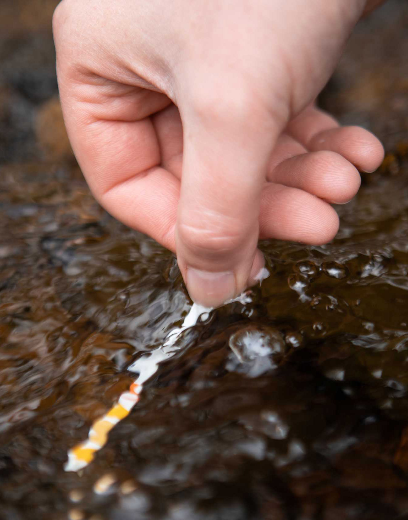 Close up photo of a hand part submerged in water with a thin strip of paper measuring the water quality. Credit Charlie Fox. Close up photo of a hand part submerged in water with a thin strip of paper measuring the water quality. Credit Charlie Fox.
