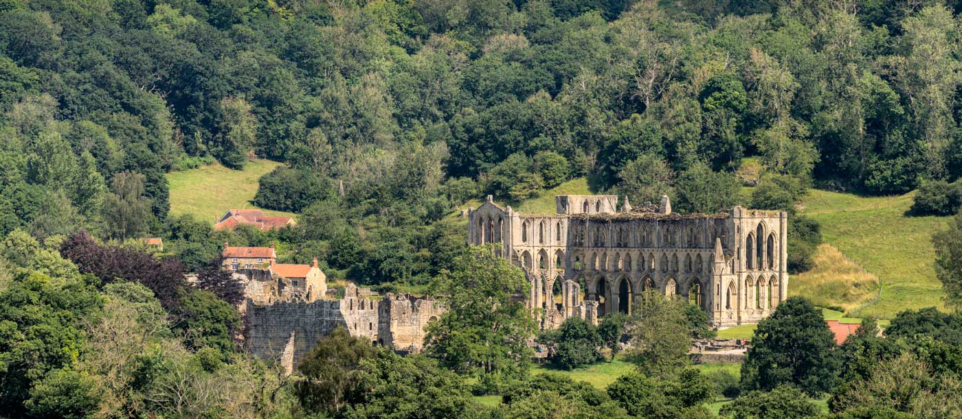 Photo of a ruined abbey among a wooded dale. Credit Lizzie Shepherd. Photo of a ruined abbey among a wooded dale. Credit Lizzie Shepherd.