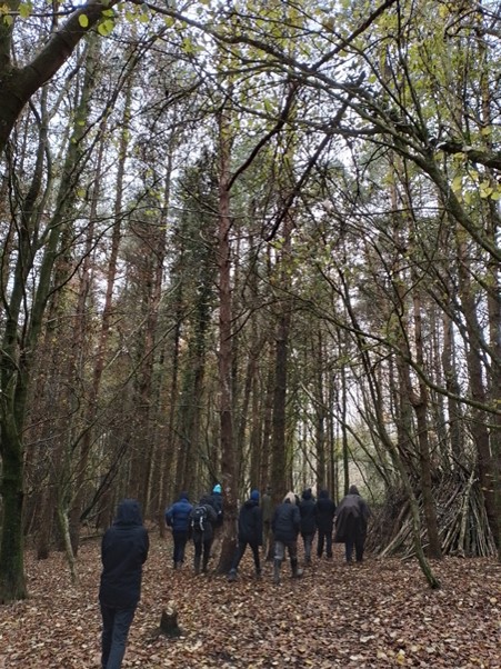 Cothelstone Hill woods