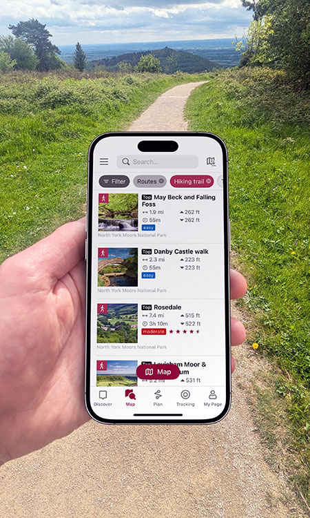 Screenshot of walking routes in mobile app