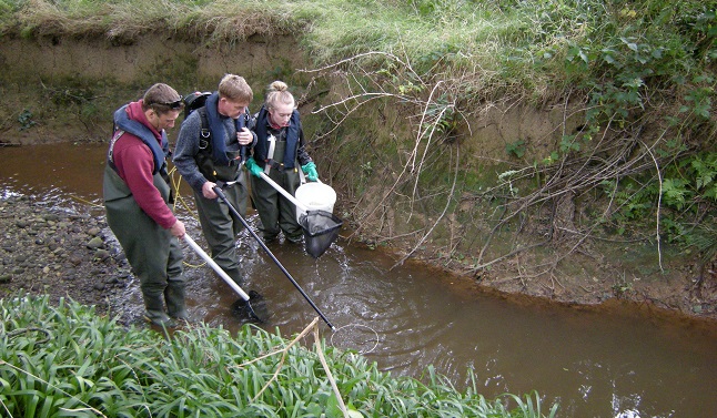 Electric Fishing_Credit Antony Fleming (3)