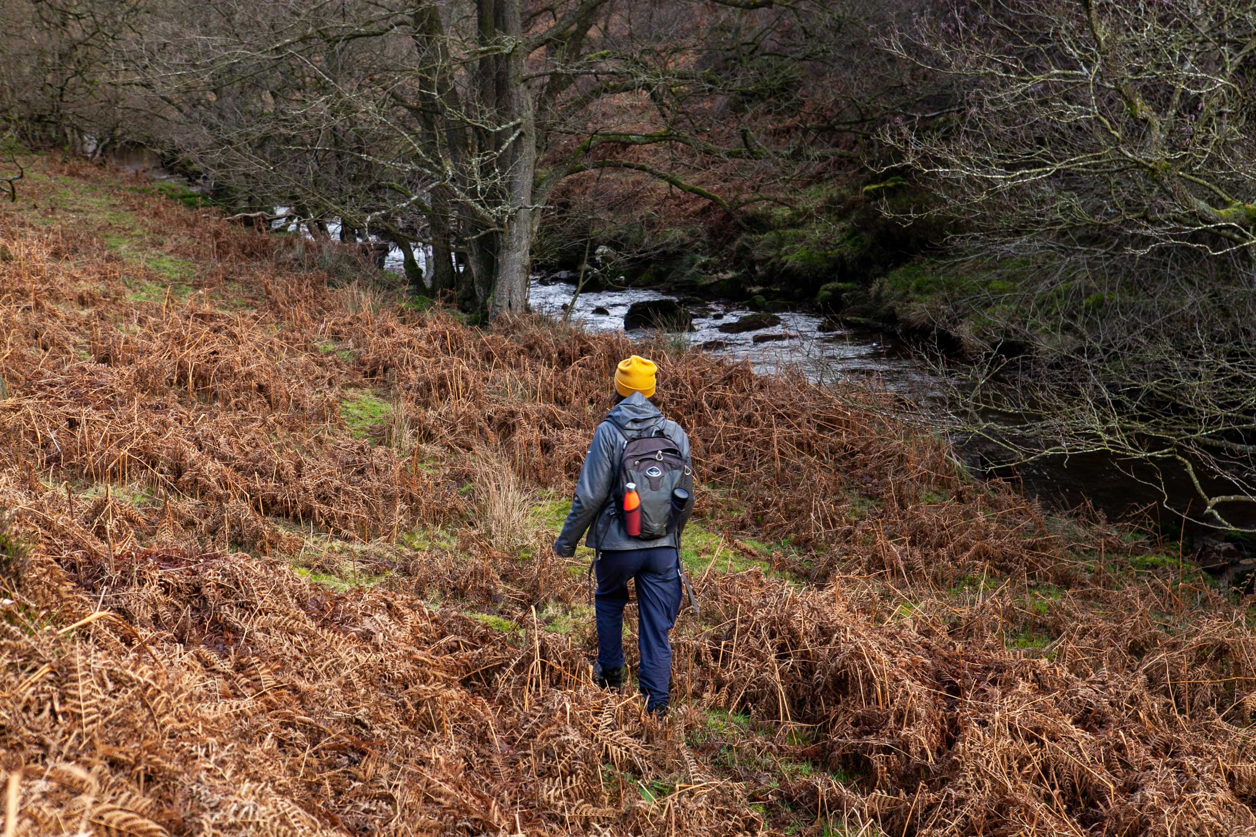 Woman walking among bracken and degrading ferns. Credit Charlie Fox.