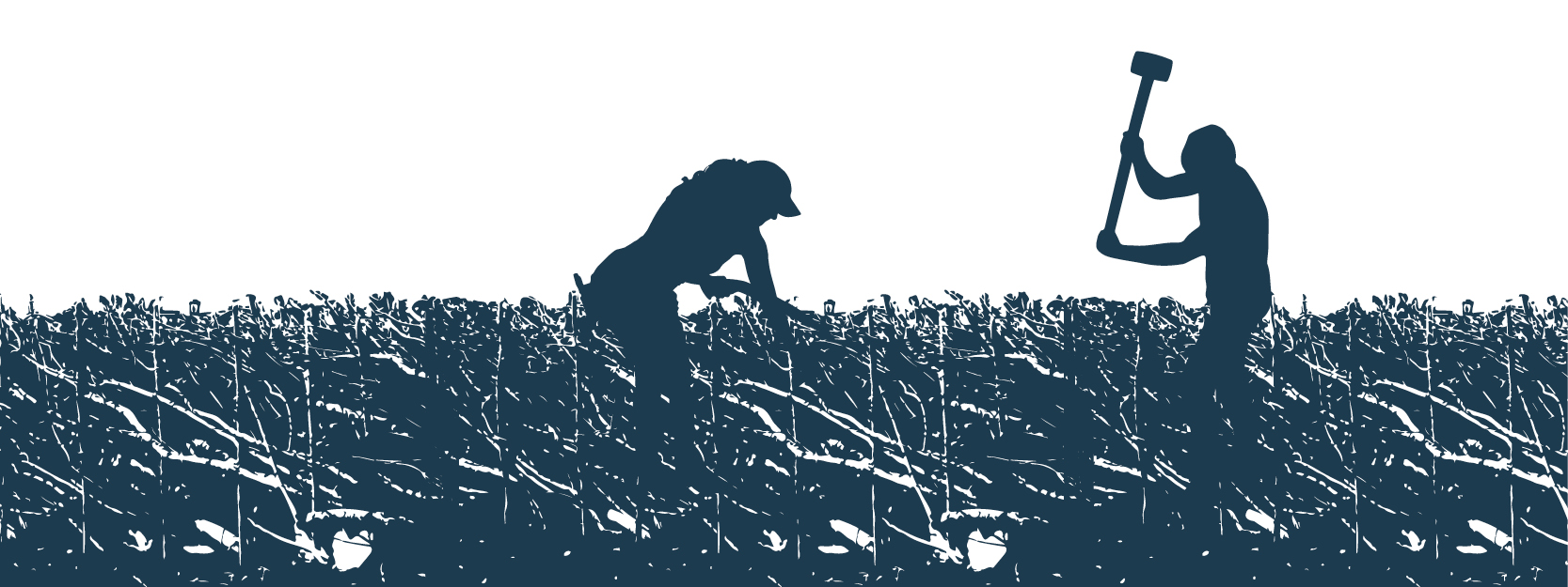Infographic of two people restoring a traditional hedgerow