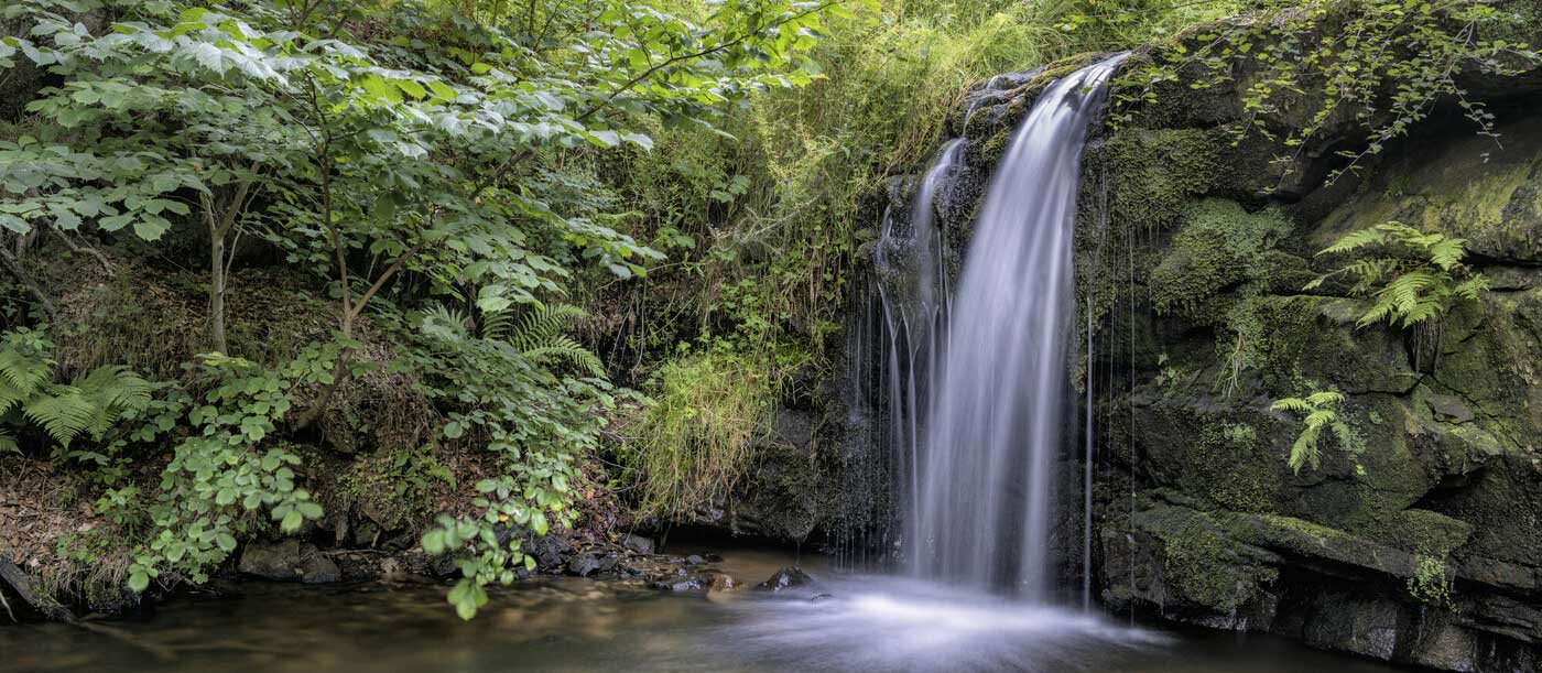 Photo of a small waterfall. Credit Lizzie Shepherd. Photo of a small waterfall. Credit Lizzie Shepherd.