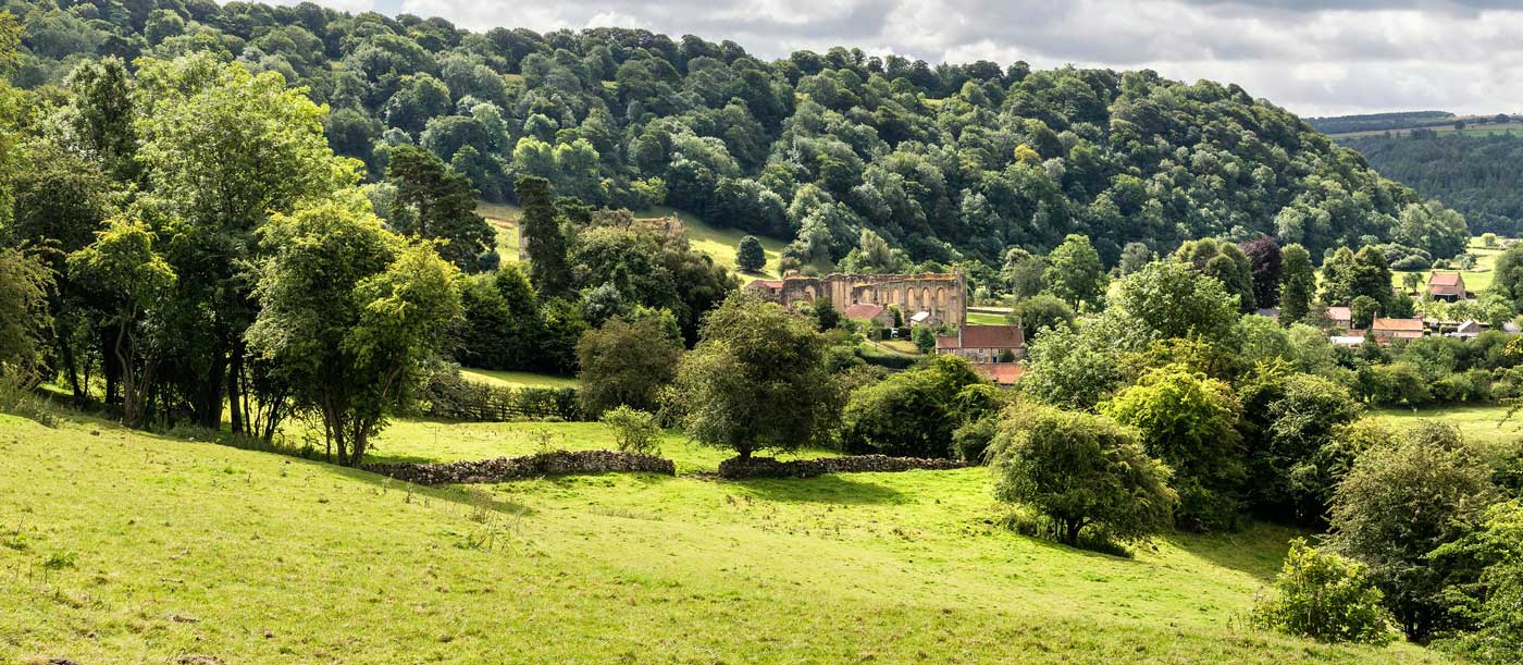 Photo of the ruins of an abbey among a wooded dale. Credit RJB Photographic www.rjbphotographic.co.uk. Photo of the ruins of an abbey among a wooded dale. Credit RJB Photographic www.rjbphotographic.co.uk.