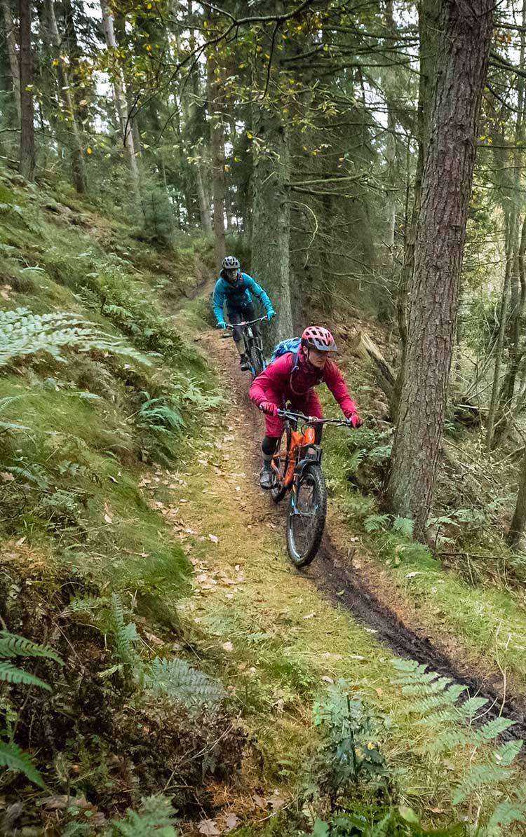 Bikers heading down a woodland trail. Credit Russell Burton/NYMNPA.