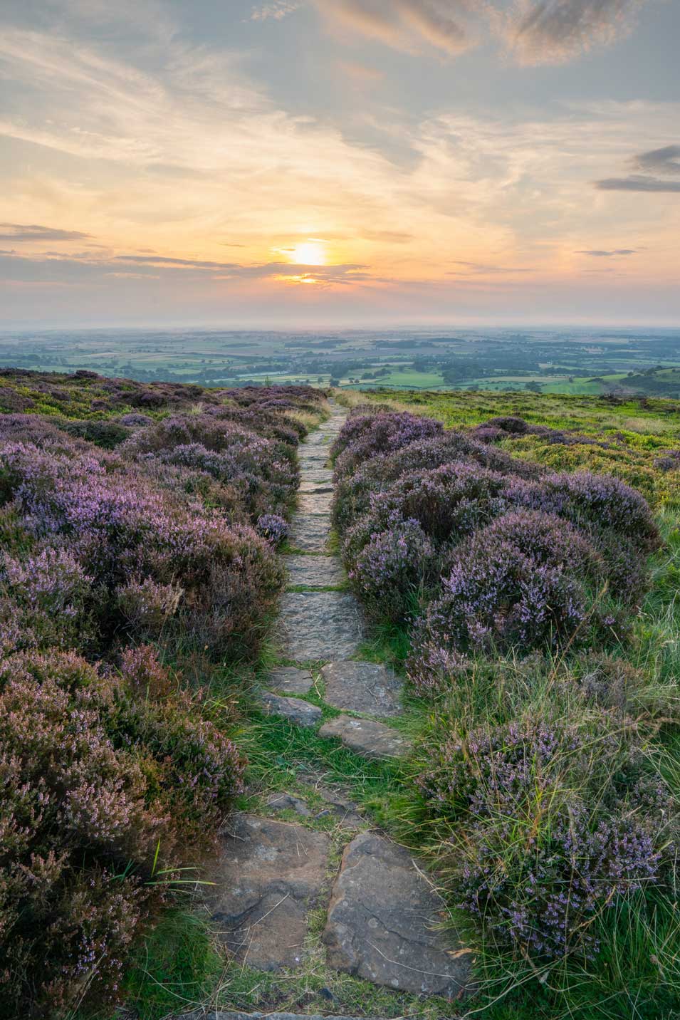 Heather moorland along the Cleveland Way credit Oliver Sherratt