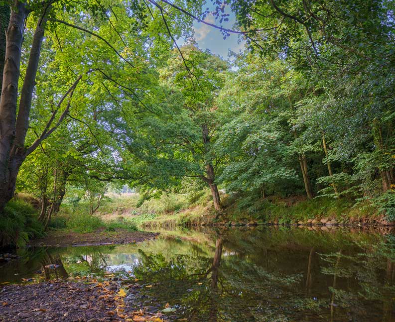 Grosmont Ford in the Esk Valley credit Oliver-Sherratt