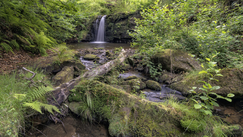 Blow Gill waterfall. Credit Lizzie Shepherd