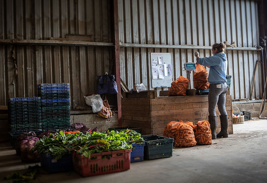 Lady weighing bags of potatoes inside by Polly Baldwin