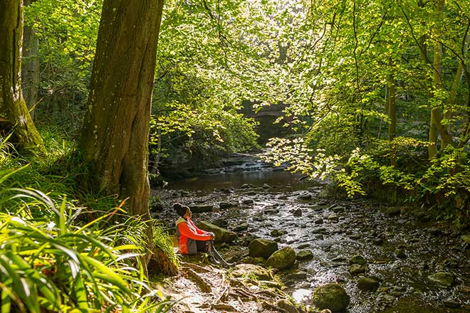 Woman sat under tree at Falling Foss by VisitBritain Woman sat under tree at Falling Foss by VisitBritain