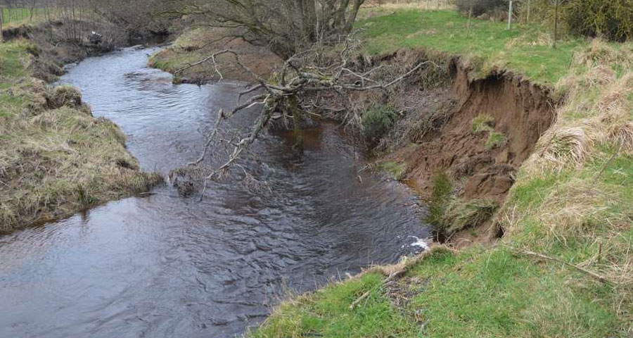 Eroding river bank