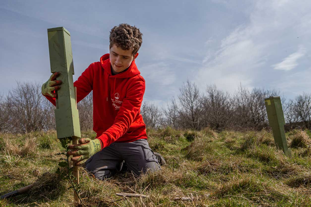 Young boy planting tree. Credit Polly A Baldwin. Young boy planting tree. Credit Polly A Baldwin.