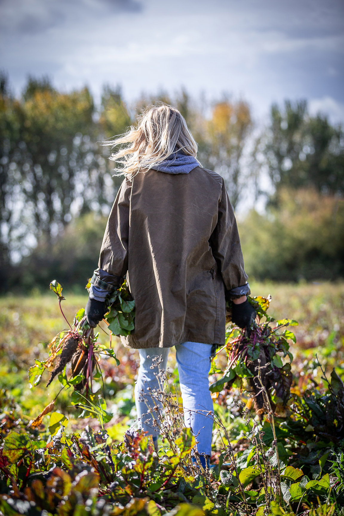 Female gardener with beetroots in her hands by Polly Baldwin Female gardener with beetroots in her hands by Polly Baldwin
