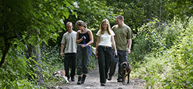 Walkers on woodland path by Mike Kipling