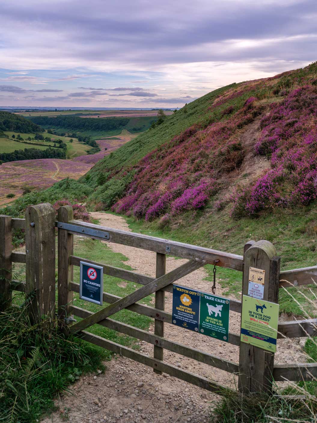 Gate among a moorland landscape at dusk. Credit Paul Kent. Gate among a moorland landscape at dusk. Credit Paul Kent.