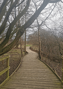 Danby Lodge arts trail