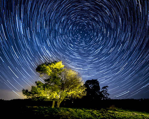 Star trail by Steve Bell