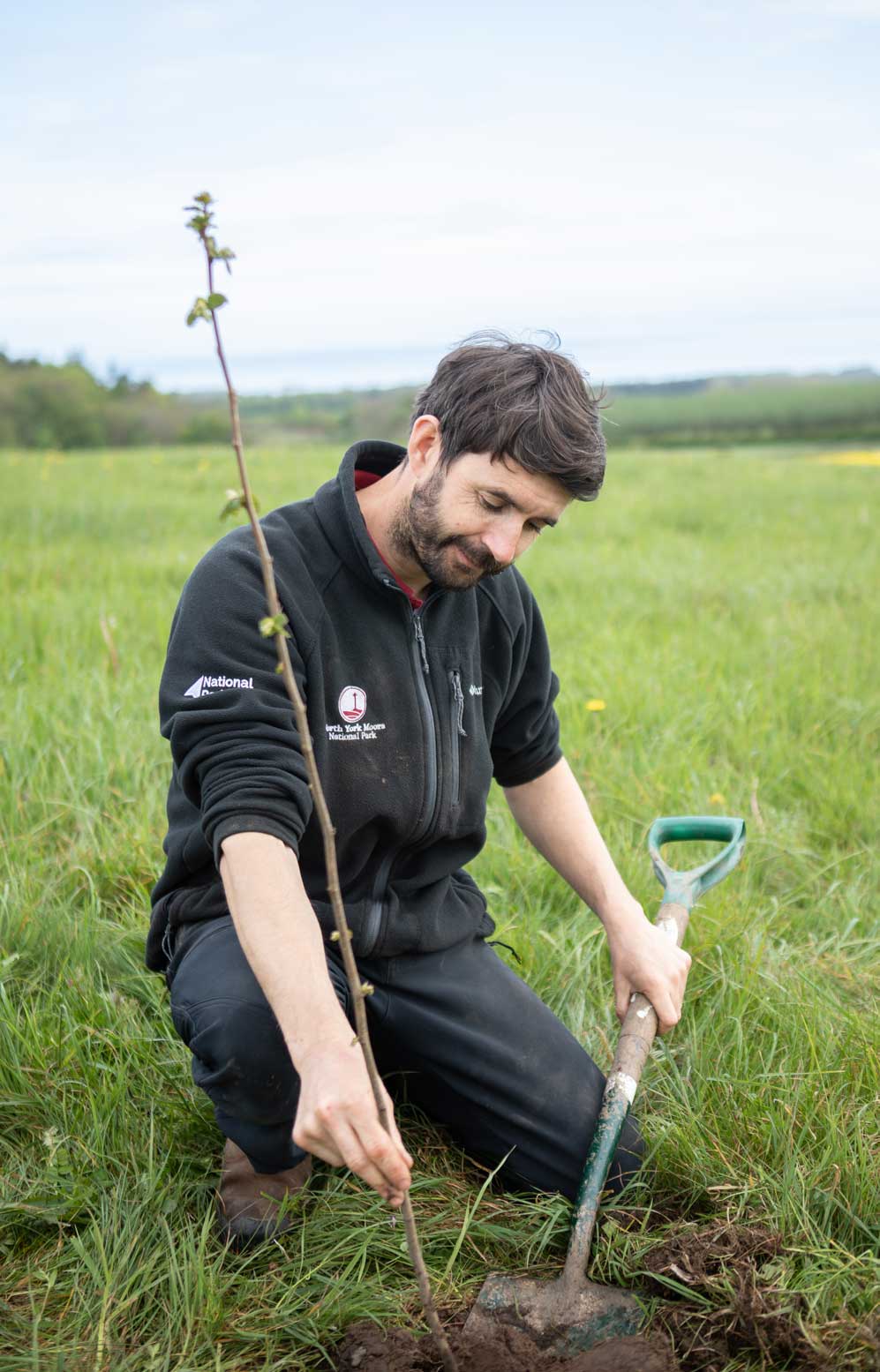 Man planting a tree sapling in a field. Credit Charlie Fox. Man planting a tree sapling in a field. Credit Charlie Fox.