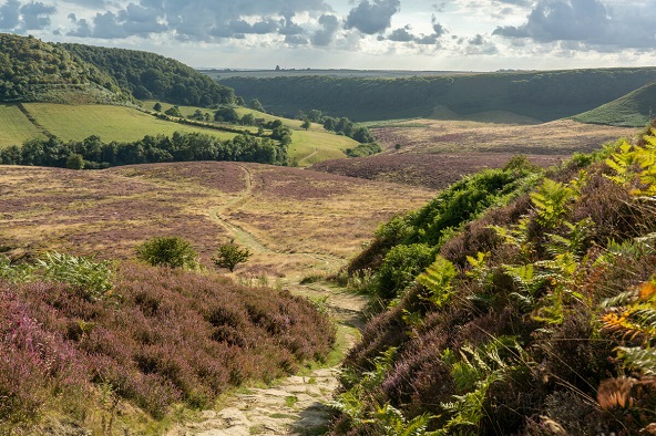 Hole of Horcum_Oliver Sherratt