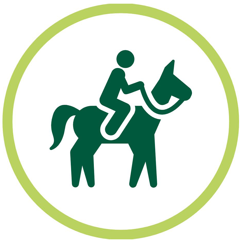 Horse riding