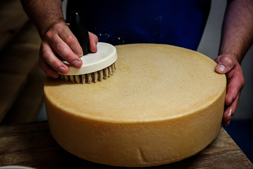 Polishing a finished wheel of cheese by Ceri Oakes