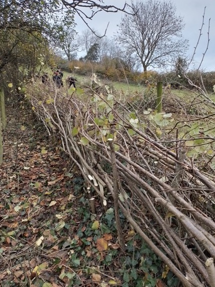 Andreas finished hedge 