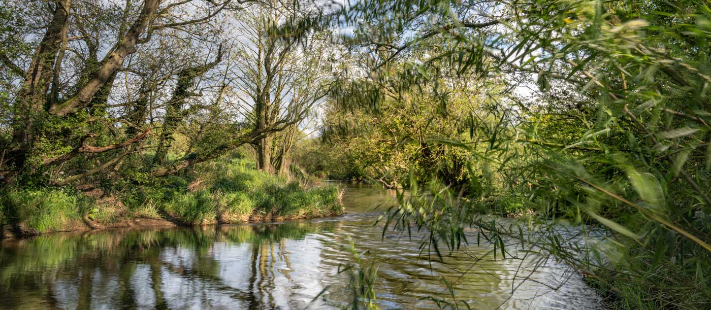 Photo of a winding river with trees along the river bank. Credit Lizzie Shepherd. Photo of a winding river with trees along the river bank. Credit Lizzie Shepherd.