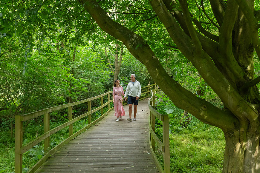 Two people walking on the boardwalk in grounds of Danby Lodge Credit Dependable Productions Two people walking on the boardwalk in grounds of Danby Lodge Credit Dependable Productions