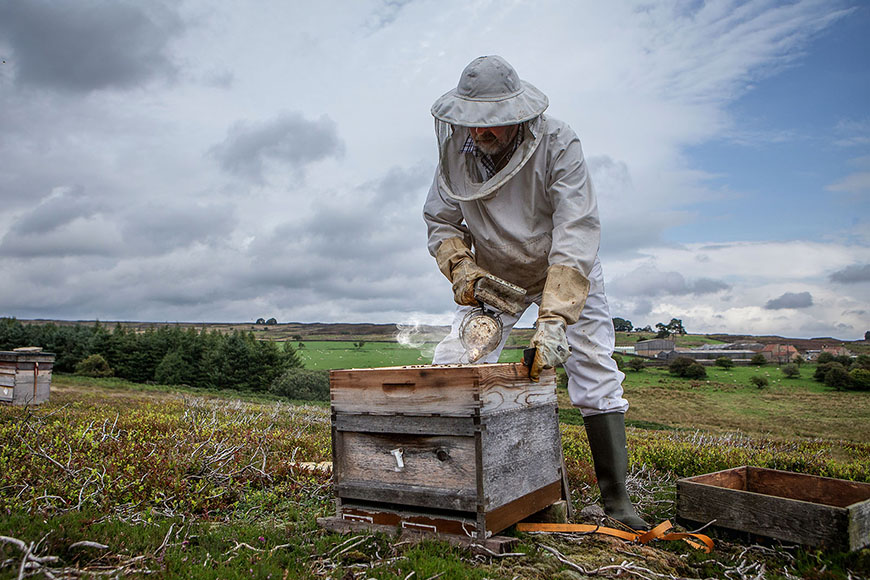 Beekeeper tending to hives out on the moorland by Polly Baldwin
