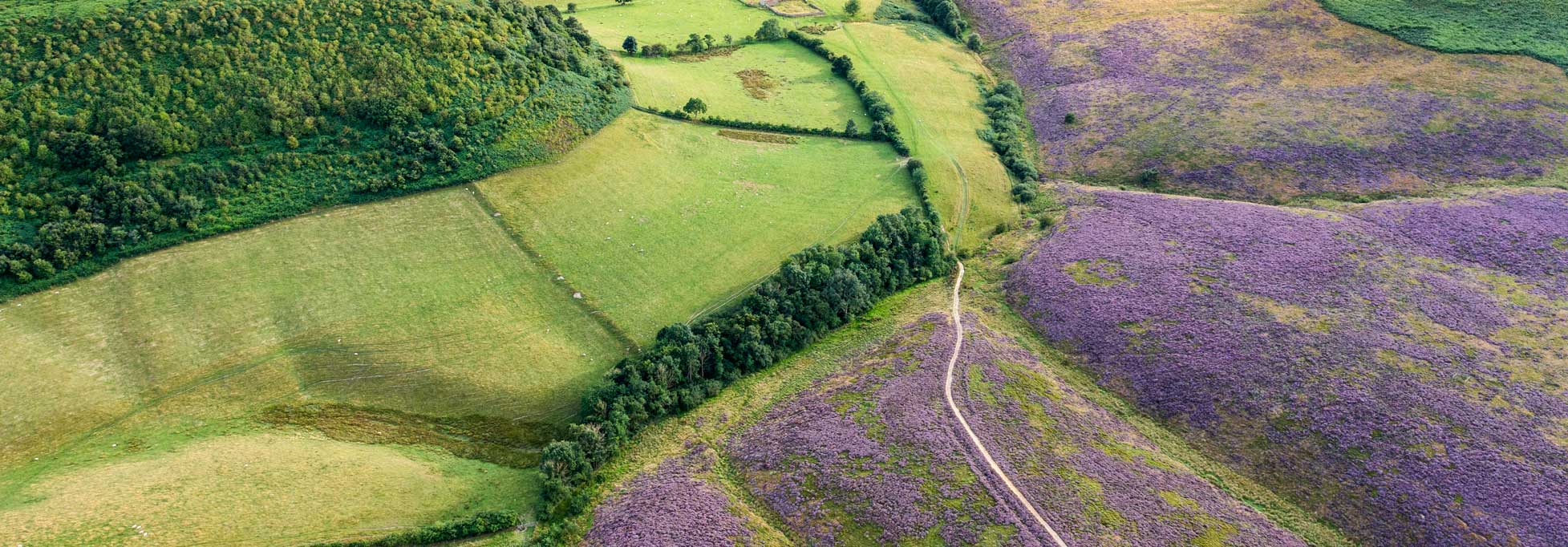 Drone photo looking down onto a moorland, grassland and woodland landscape. Credit Paul Kent.