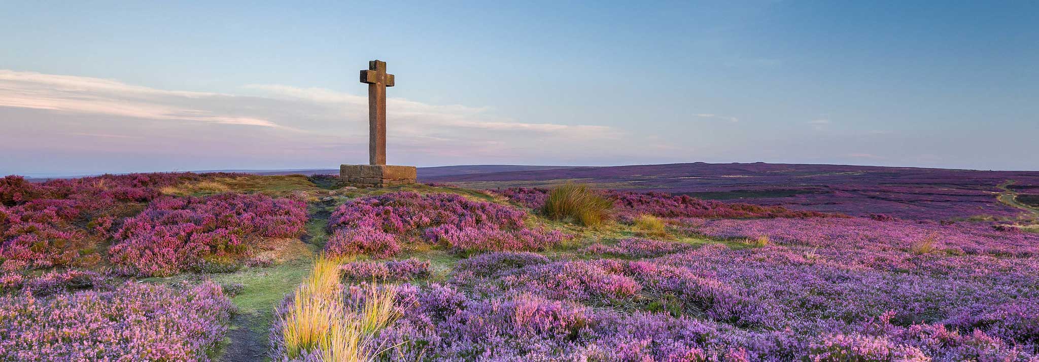 Stone across among heather moorland in bloom. Credit Ebor Images.