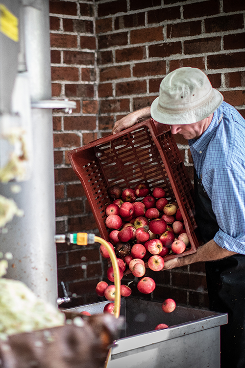 AmpleforthCider Credit Polly Baldwin