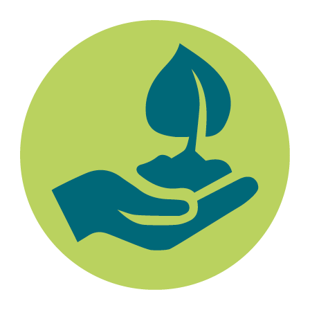 24 projects improving soil conditions
