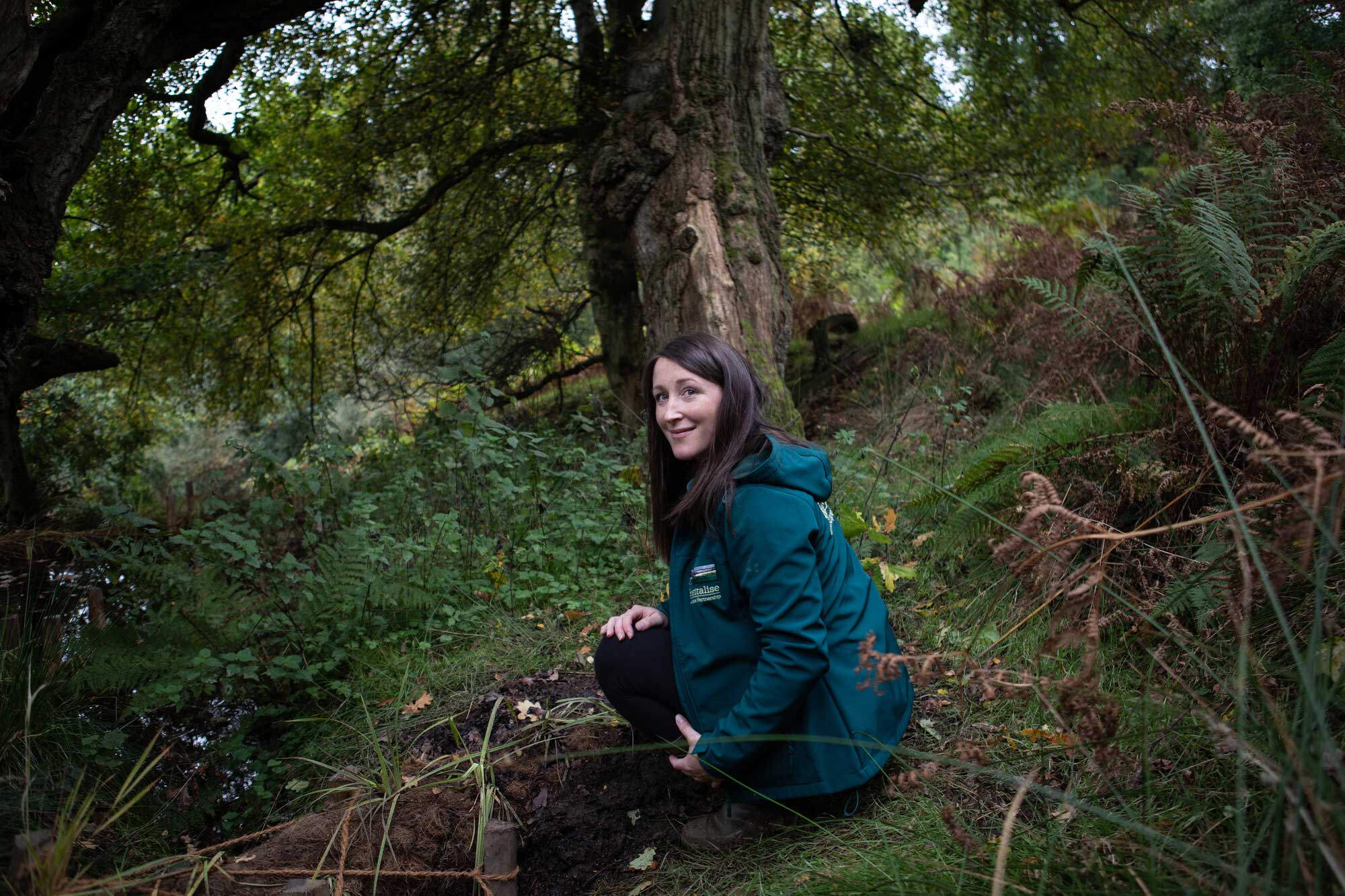 Female in a dense woodland. She is crouched near a small flow of water heading downhill. Credit Charlie Fox.