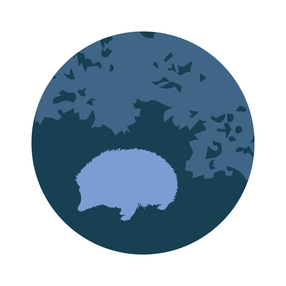 Hedgehog infographic 