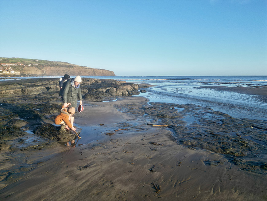 Rockpooling at Boggle Hole in Robin Hood&rsquo;s Bay Credit Bex Band