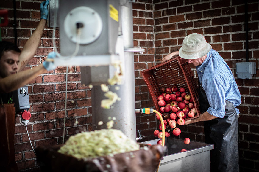 Man emptying apples into a large vat and other man using apple presser in the foreground by Polly Baldwin