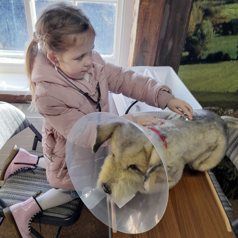 Child listening to a dog's pulse