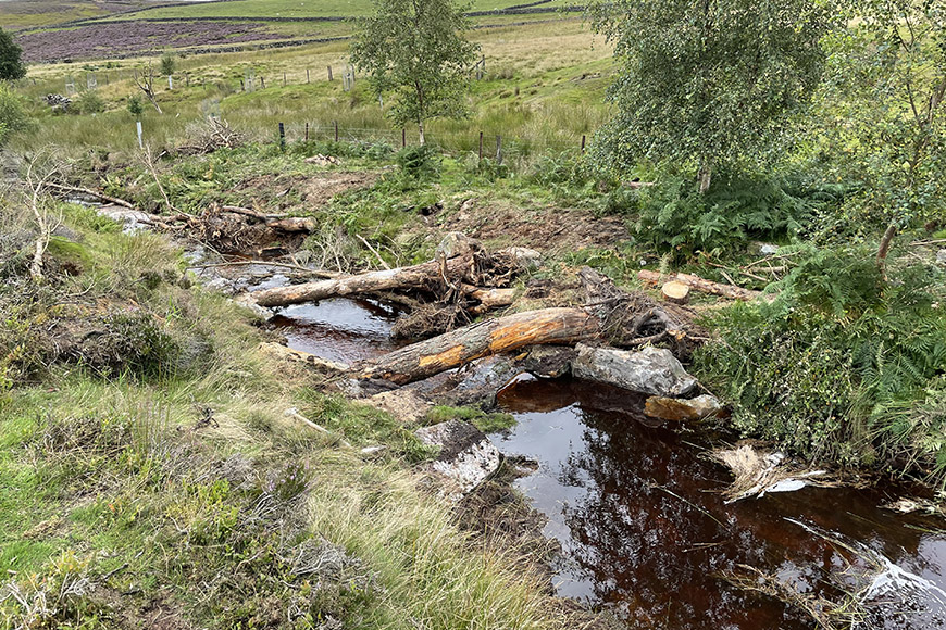 Large woody material installation at Bonfield Gill