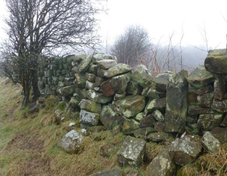 Rundown dry stone wall. Rundown dry stone wall.
