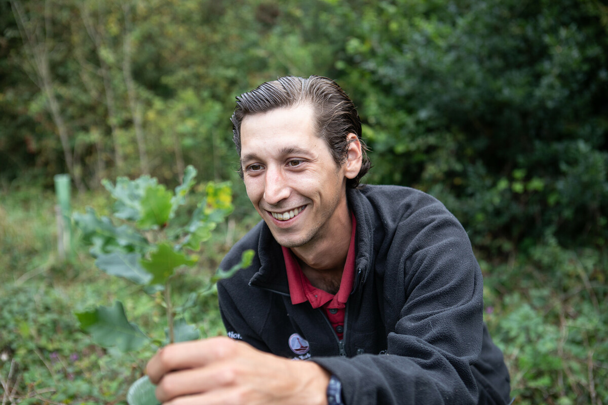 Gregor Stuart (Woodland Operations Worker) looking closely at an oak sapling. Credit Charlie Fox. Gregor Stuart (Woodland Operations Worker) looking closely at an oak sapling. Credit Charlie Fox.