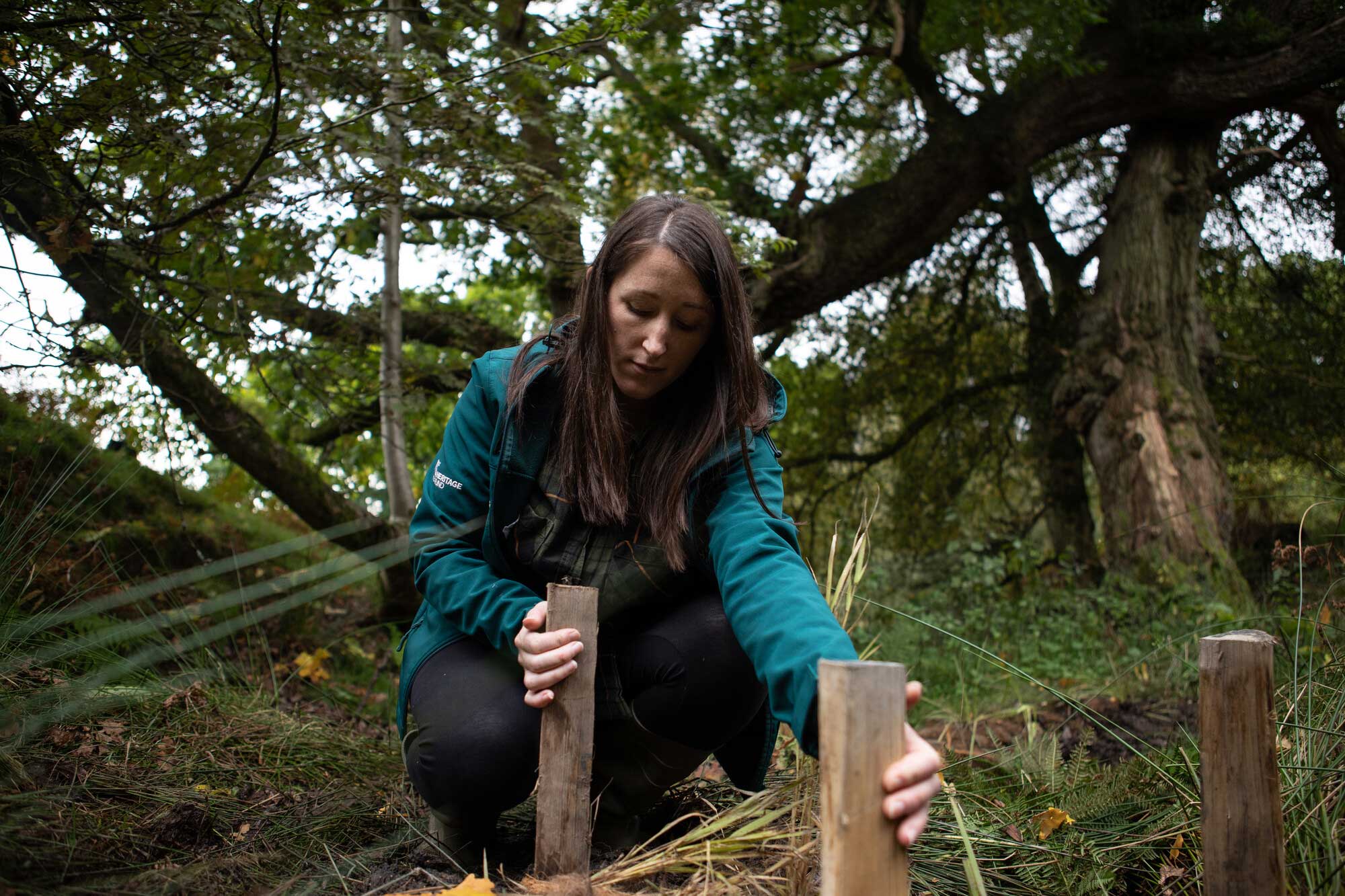 Female inspecting recent conservation efforts to slow the flow of water down a woodland slope. Credit Charlie Fox.