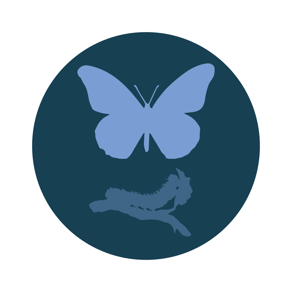 Butterfly and caterpillar infographic
