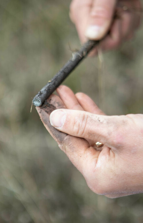 Close up photo of a finger with peat on. Credit Charlie Fox